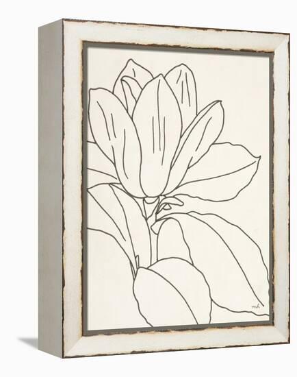 Magnolia Line Drawing v2 Crop-Moira Hershey-Framed Stretched Canvas