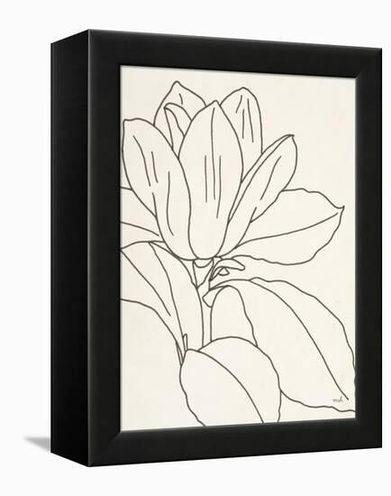 Magnolia Line Drawing v2 Crop-Moira Hershey-Framed Stretched Canvas