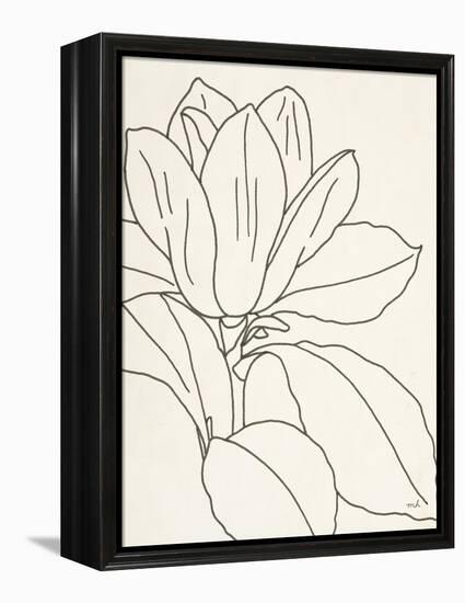 Magnolia Line Drawing v2 Crop-Moira Hershey-Framed Stretched Canvas