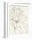Magnolia Line Drawing v2 Crop-Moira Hershey-Framed Art Print
