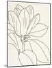 Magnolia Line Drawing v2 Crop-Moira Hershey-Mounted Art Print