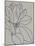 Magnolia Line Drawing v2 Gray Crop-Moira Hershey-Mounted Art Print
