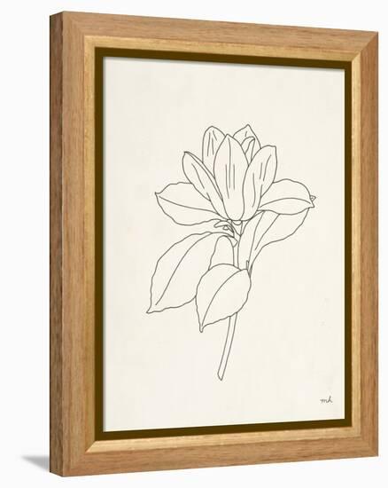 Magnolia Line Drawing-Moira Hershey-Framed Stretched Canvas