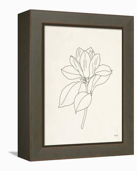 Magnolia Line Drawing-Moira Hershey-Framed Stretched Canvas