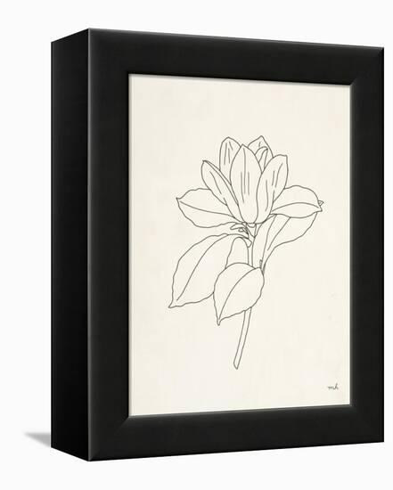 Magnolia Line Drawing-Moira Hershey-Framed Stretched Canvas