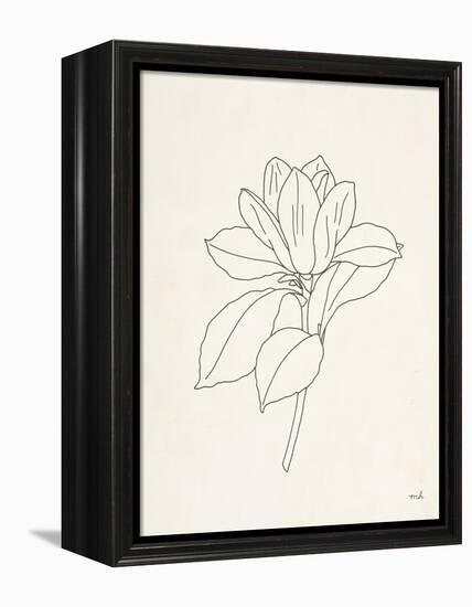 Magnolia Line Drawing-Moira Hershey-Framed Stretched Canvas