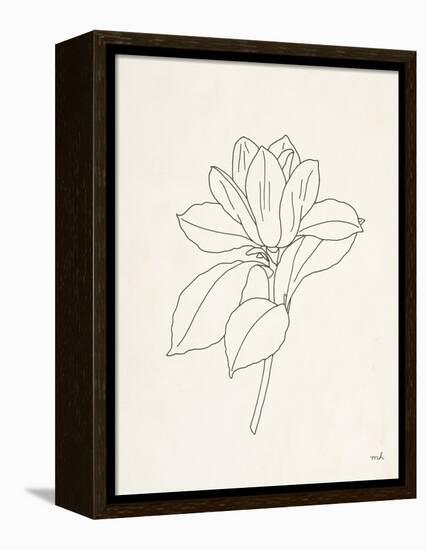 Magnolia Line Drawing-Moira Hershey-Framed Stretched Canvas