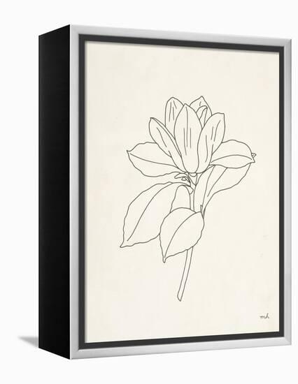 Magnolia Line Drawing-Moira Hershey-Framed Stretched Canvas