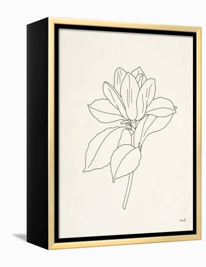 Magnolia Line Drawing-Moira Hershey-Framed Stretched Canvas