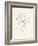 Magnolia Line Drawing-Moira Hershey-Framed Art Print
