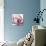 Magnolia Marcela-Albert Koetsier-Premium Giclee Print displayed on a wall