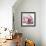 Magnolia Marcela-Albert Koetsier-Framed Premium Giclee Print displayed on a wall