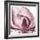 Magnolia Marcela-Albert Koetsier-Framed Premium Giclee Print