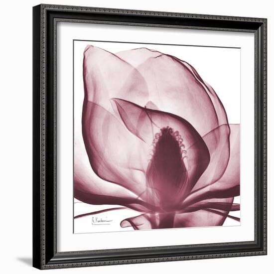 Magnolia Marcela-Albert Koetsier-Framed Premium Giclee Print