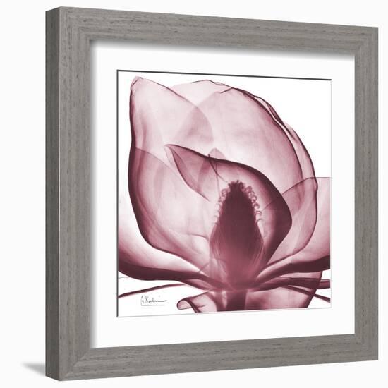 Magnolia Marcela-Albert Koetsier-Framed Art Print