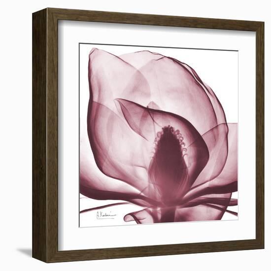 Magnolia Marcela-Albert Koetsier-Framed Art Print