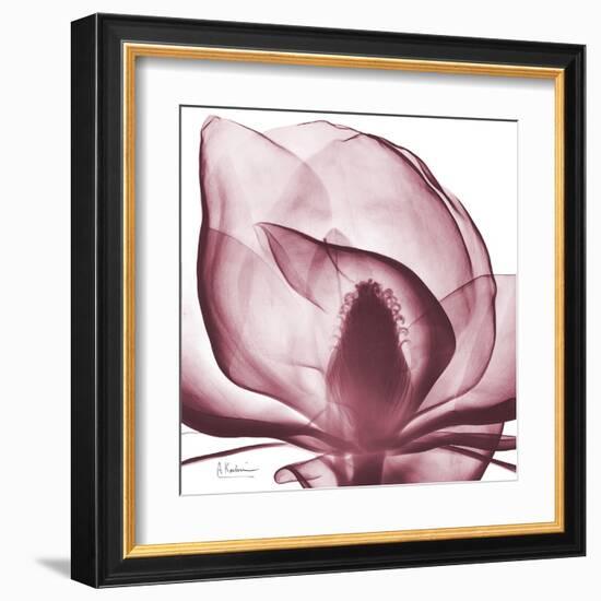 Magnolia Marcela-Albert Koetsier-Framed Art Print