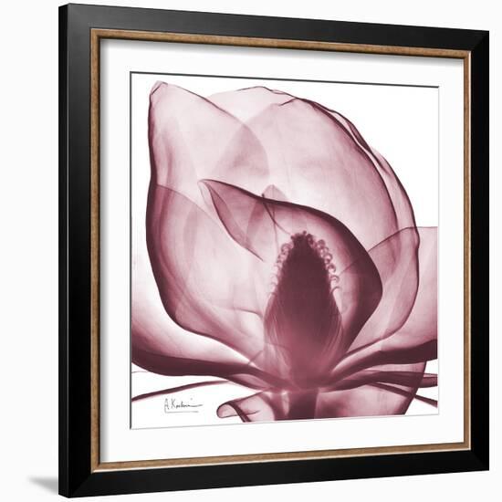 Magnolia Marcela-Albert Koetsier-Framed Art Print