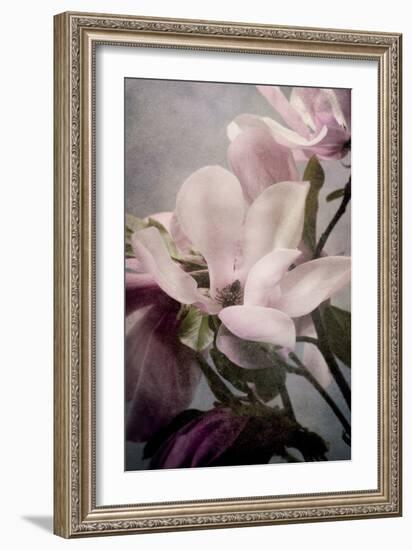 Magnolia Memories 1-Julie Greenwood-Framed Art Print