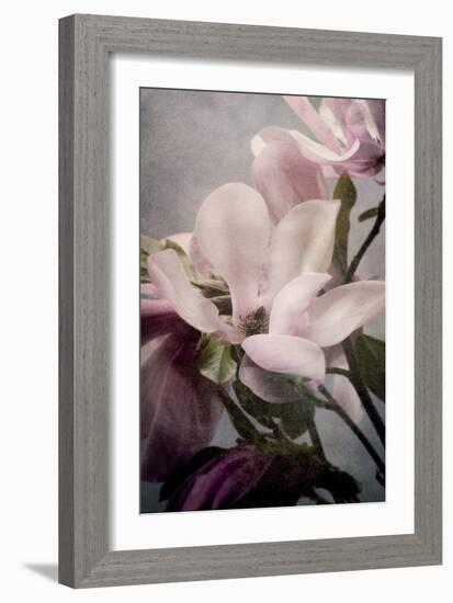 Magnolia Memories 1-Julie Greenwood-Framed Art Print