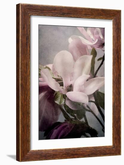 Magnolia Memories 1-Julie Greenwood-Framed Art Print