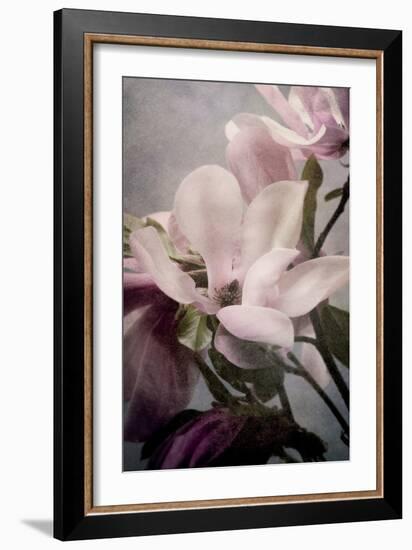 Magnolia Memories 1-Julie Greenwood-Framed Art Print