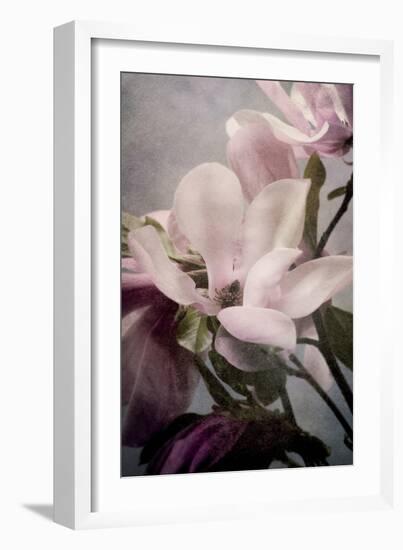 Magnolia Memories 1-Julie Greenwood-Framed Art Print