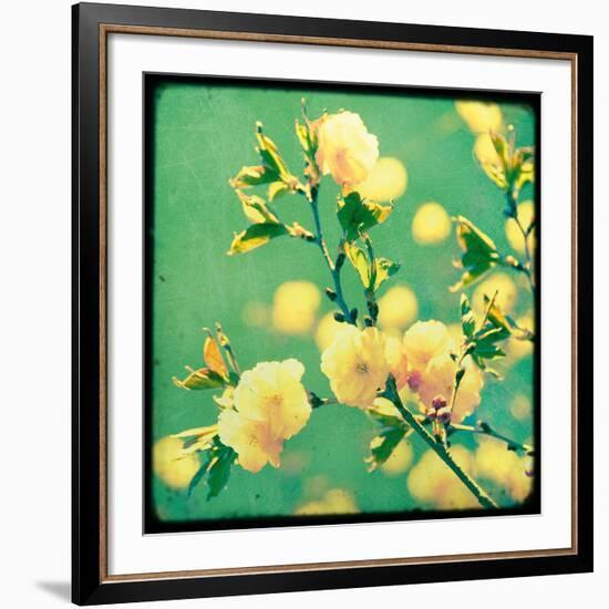 Magnolia Mist-Irene Suchocki-Framed Giclee Print