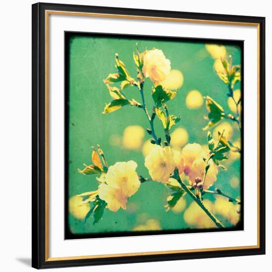 Magnolia Mist-Irene Suchocki-Framed Giclee Print