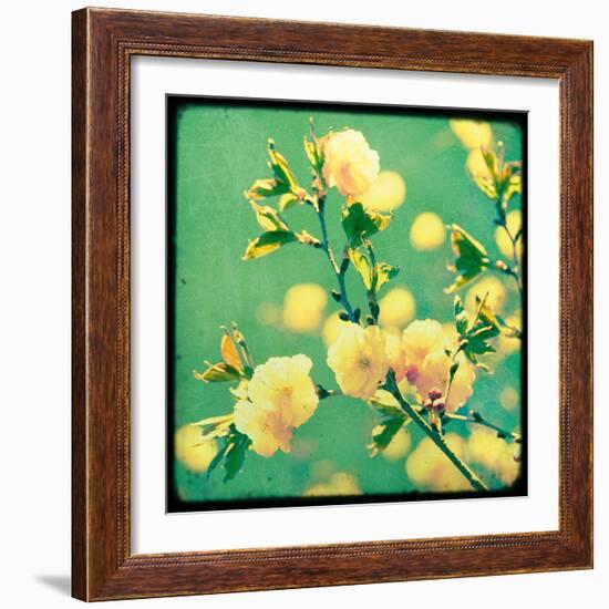 Magnolia Mist-Irene Suchocki-Framed Giclee Print