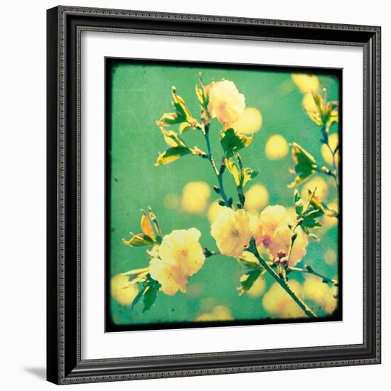 Magnolia Mist-Irene Suchocki-Framed Giclee Print