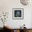 Magnolia on Black I-Chris Paschke-Framed Art Print displayed on a wall