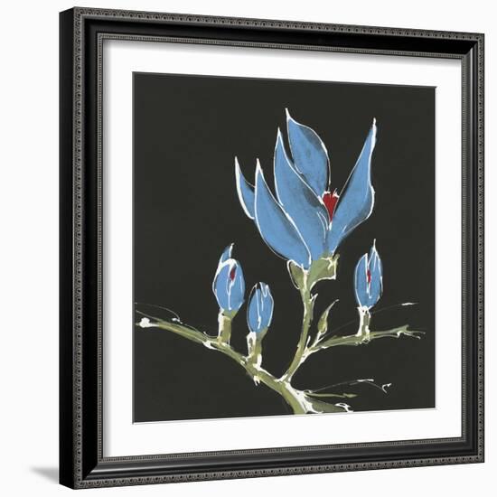 Magnolia on Black I-Chris Paschke-Framed Art Print