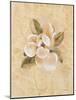 Magnolia on Cracked Linen-Cheri Blum-Mounted Art Print