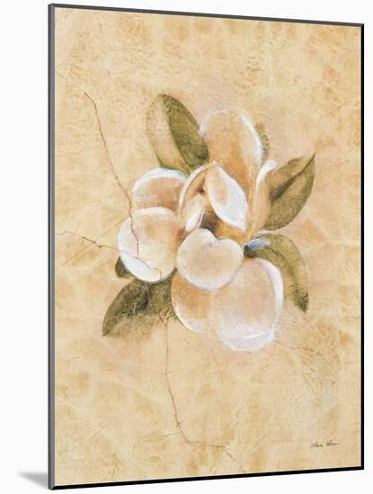 Magnolia on Cracked Linen-Cheri Blum-Mounted Art Print