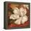 Magnolia on Red II-Pamela Gladding-Framed Stretched Canvas