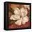 Magnolia on Red II-Pamela Gladding-Framed Stretched Canvas