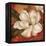 Magnolia on Red II-Pamela Gladding-Framed Stretched Canvas