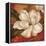 Magnolia on Red II-Pamela Gladding-Framed Stretched Canvas