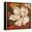 Magnolia on Red II-Pamela Gladding-Framed Stretched Canvas