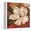 Magnolia on Red II-Pamela Gladding-Framed Stretched Canvas