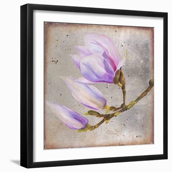 Magnolia on Silver Leaf I-Patricia Pinto-Framed Art Print