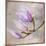 Magnolia on Silver Leaf I-Patricia Pinto-Mounted Art Print