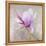 Magnolia on Silver Leaf II-Patricia Pinto-Framed Stretched Canvas