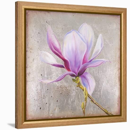 Magnolia on Silver Leaf II-Patricia Pinto-Framed Stretched Canvas