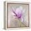 Magnolia on Silver Leaf II-Patricia Pinto-Framed Stretched Canvas