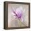 Magnolia on Silver Leaf II-Patricia Pinto-Framed Stretched Canvas