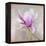 Magnolia on Silver Leaf II-Patricia Pinto-Framed Stretched Canvas