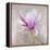 Magnolia on Silver Leaf II-Patricia Pinto-Framed Stretched Canvas