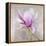 Magnolia on Silver Leaf II-Patricia Pinto-Framed Stretched Canvas